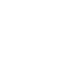 Looking after pets and plants