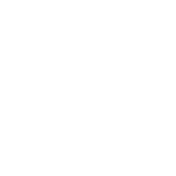 Support with social activities